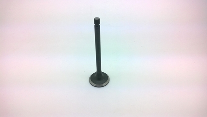 Picture of Cylinder Head Exhaust Valve  