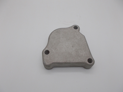Picture of Cylinder Head Rear Cover